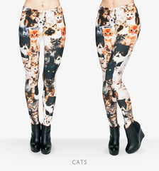 Lovely Cats