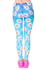 Daisy Blue