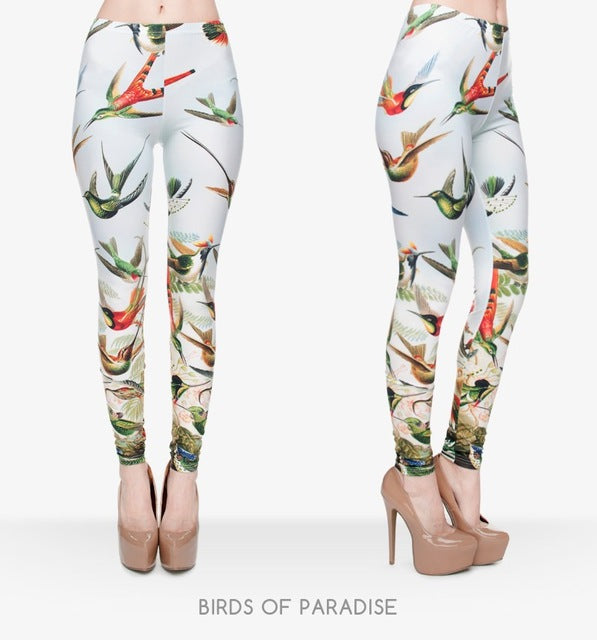 Birds Of Paradise