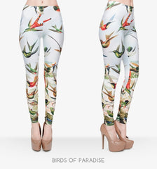 Birds Of Paradise
