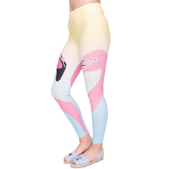 Two Flamingo